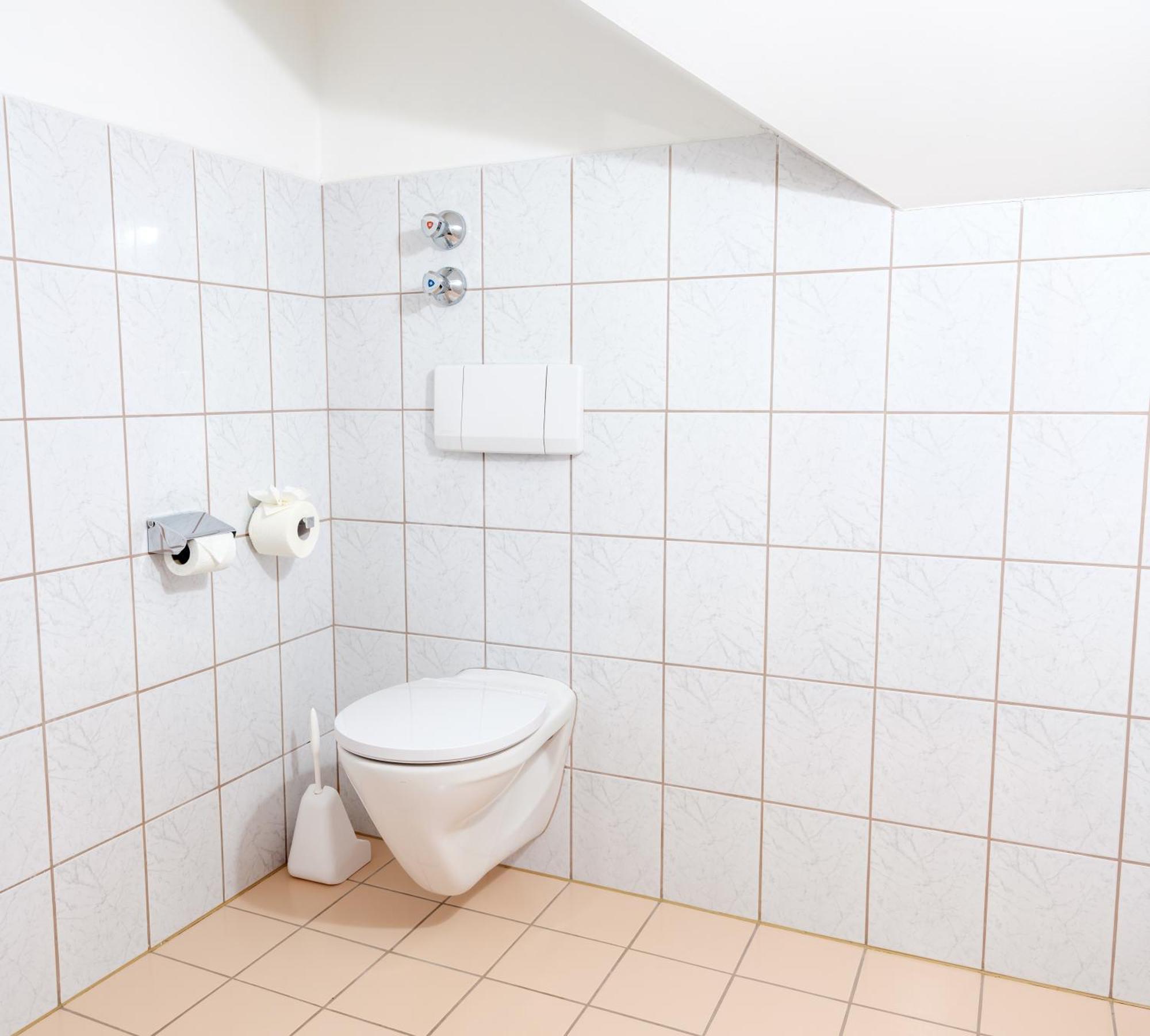 פלאדניץ אן דר טיכלפה Ferienwohnung Im Naturpark Almenland מראה חיצוני תמונה